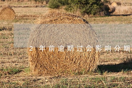 2年前逾期过会影响分期买车吗