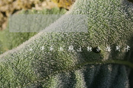 2年前逾期过能办信用卡么 2年前逾期过能办信用卡么