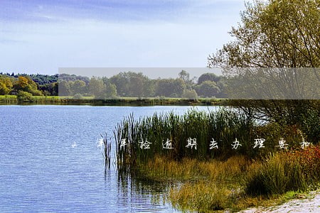 2年年检逾期去办理要扣分吗 2年年检逾期去办理要扣分吗