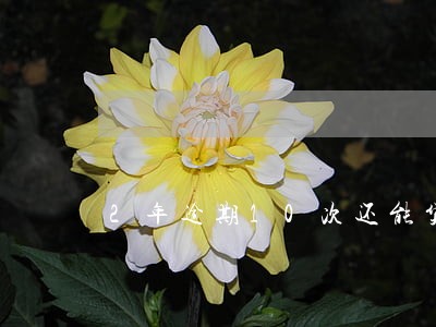 2年逾期10次还能贷款买房吗 2年逾期10次还能贷款买房吗