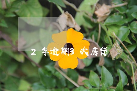 2年逾期3次房贷 2年逾期3次房贷