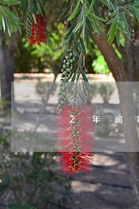 2年逾期3次还能贷款买房吗 2年逾期3次还能贷款买房吗