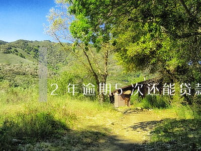2年逾期5次还能贷款买房吗 2年逾期5次还能贷款买房吗