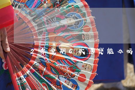 2年逾期6次房贷能办吗 2年逾期6次房贷能办吗