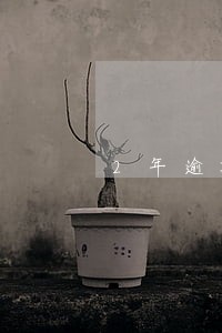 2年逾期6次金额几百块 2年逾期6次金额几百块