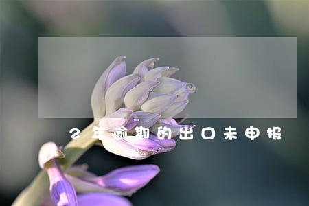 2年逾期的出口未申报 2年逾期的出口未申报