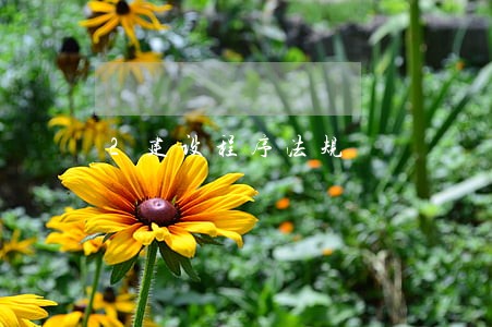 2建设程序法规 2建设程序法规