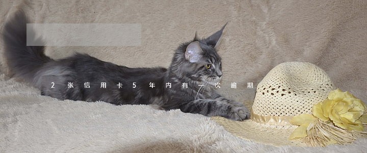 2张信用卡5年内有一次逾期 2张信用卡5年内有一次逾期