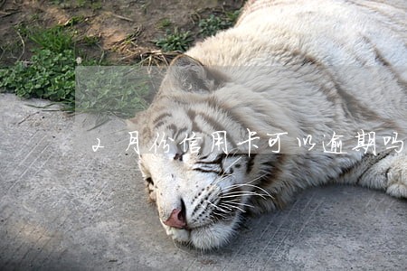 2月份信用卡可以逾期吗