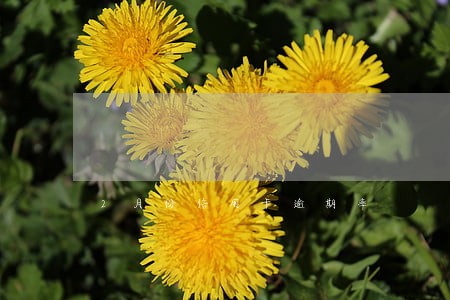 2月份信用卡逾期率 2月份信用卡逾期率