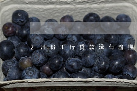 2月份工行贷款没有逾期 2月份工行贷款没有逾期