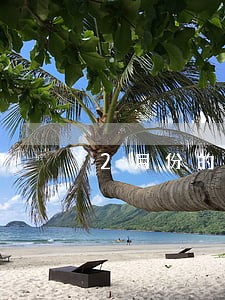2月份的信用卡可以逾期吗 2月份的信用卡可以逾期吗