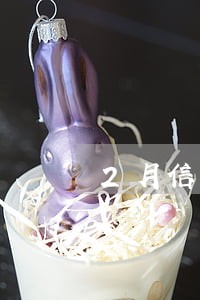 2月信用卡逾期还款 2月信用卡逾期还款