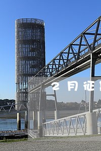 2月征期申报逾期会处罚吗 2月征期申报逾期会处罚吗