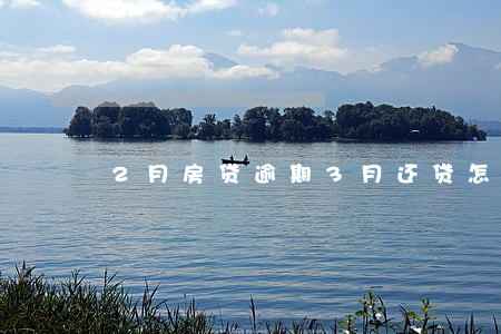 2月房贷逾期3月还贷怎么还 2月房贷逾期3月还贷怎么还