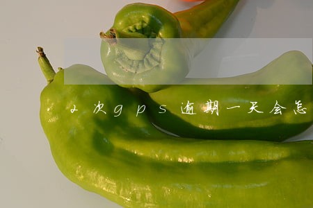 2次gps逾期一天会怎样 2次gps逾期一天会怎样