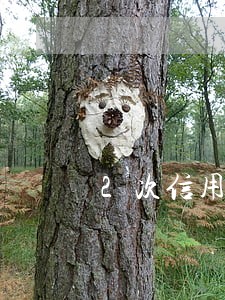 2次信用卡逾期上征信
