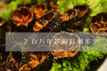 2百万年薪税后剩多少