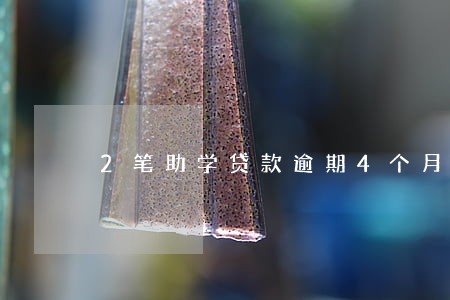 2笔助学贷款逾期4个月 2笔助学贷款逾期4个月
