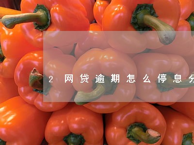 2网贷逾期怎么停息分期