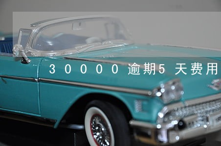 30000逾期5天费用多少 30000逾期5天费用多少
