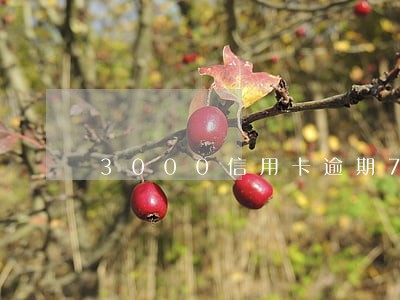 3000信用卡逾期7天