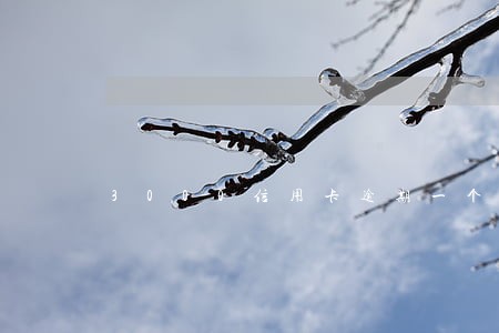 3000信用卡逾期一个月 3000信用卡逾期一个月