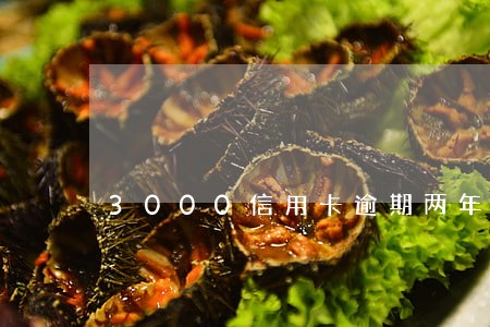 3000信用卡逾期两年没还