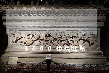 3000借款逾期 3000借款逾期