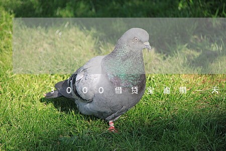 3000借贷宝逾期一天 3000借贷宝逾期一天