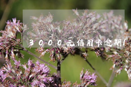 3000元信用卡逾期10年 3000元信用卡逾期10年