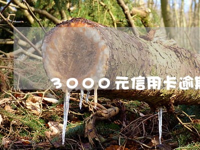 3000元信用卡逾期两年