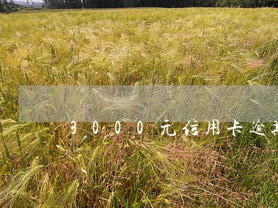 3000元信用卡逾期利息 3000元信用卡逾期利息