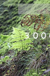 3000元逾期两年要还多少钱 3000元逾期两年要还多少钱