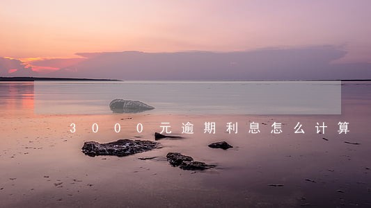 3000元逾期利息怎么计算 3000元逾期利息怎么计算