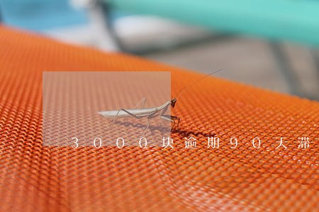 3000块逾期90天滞纳金 3000块逾期90天滞纳金