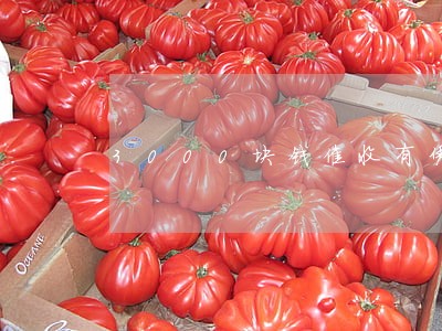 3000块钱催收有凭证逾期 3000块钱催收有凭证逾期