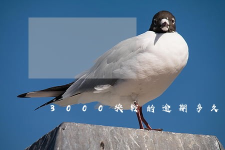 3000块钱的逾期多久修复