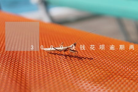 3000块钱花呗逾期两年 3000块钱花呗逾期两年