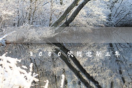 3000块钱逾期三年 3000块钱逾期三年
