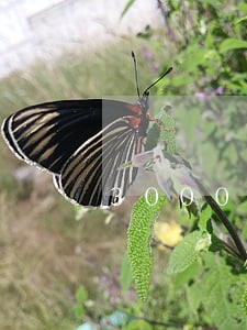 3000块钱逾期两年会诉讼么 3000块钱逾期两年会诉讼么