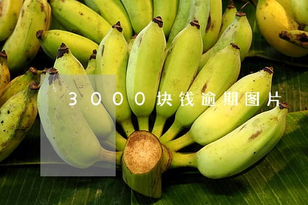 3000块钱逾期图片 3000块钱逾期图片