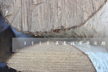 3000工商信用卡逾期一个月 3000工商信用卡逾期一个月