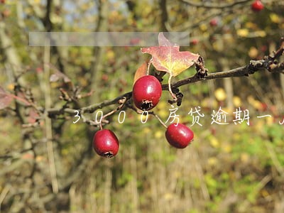3000房贷逾期一月利息多少 3000房贷逾期一月利息多少