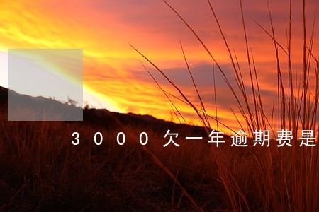3000欠一年逾期费是多少 3000欠一年逾期费是多少