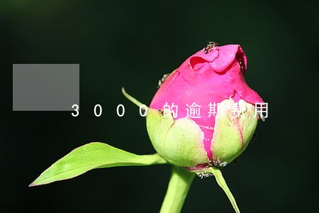 3000的逾期费用 3000的逾期费用