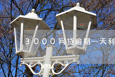 3000网贷逾期一天利息多少 3000网贷逾期一天利息多少