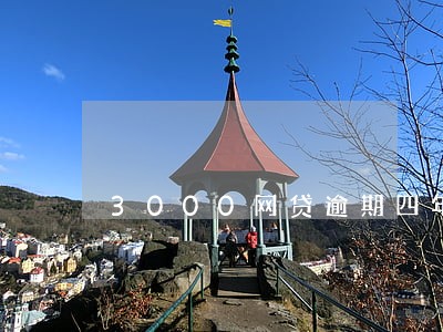 3000网贷逾期四年 3000网贷逾期四年