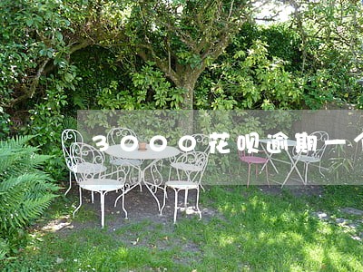 3000花呗逾期一个月 3000花呗逾期一个月
