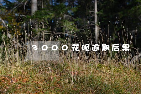 3000花呗逾期后果 3000花呗逾期后果